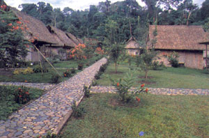 Yarina Ecuador Amazon lodge